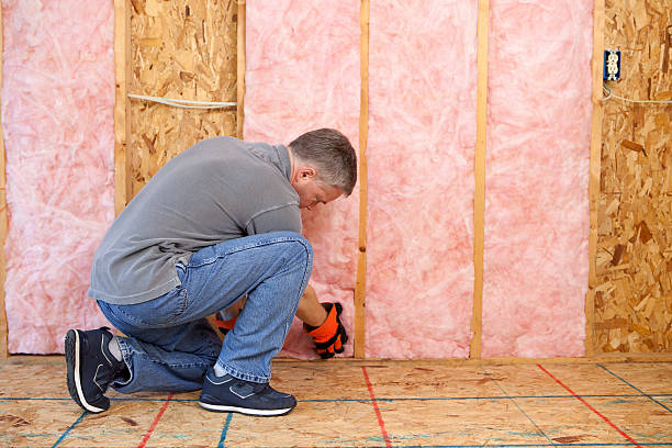 Best Insulation Installation Services in Temple, GA